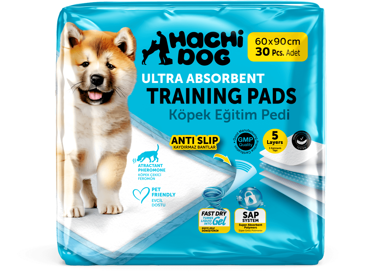 HachiDog 60x90 30 Pcs Blue (1).png