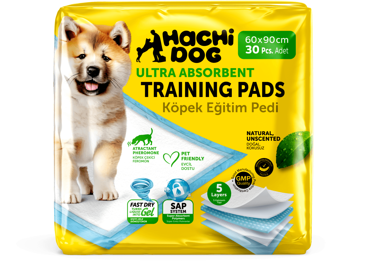 HachiDog 60x90 30 Pcs Yellow (1).png