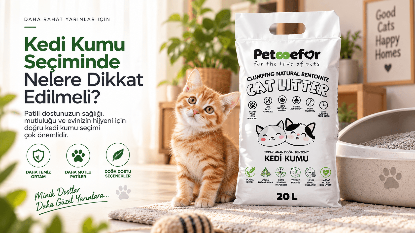 kedi-kumu-secimi-kardag.webp.png